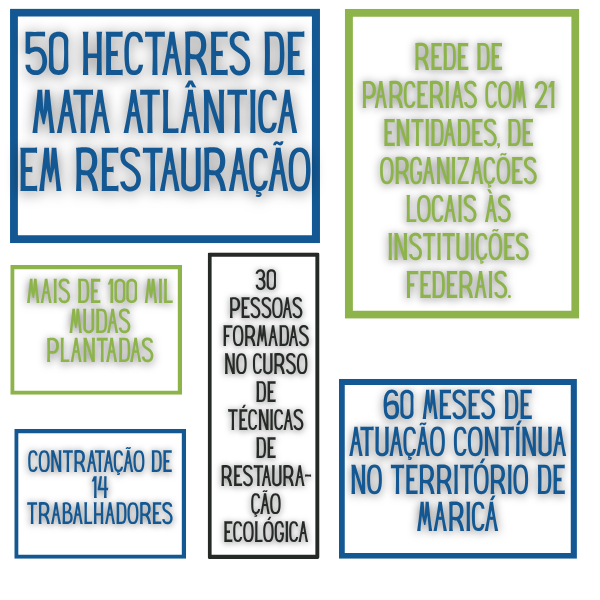 painel numeros VIVEIRO 2
